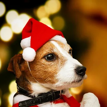 Рождественская шляпа для кошки, собаки, аксессуары для щенков для маленьких собак, костюм собаки, шапки для собак, костюмы для кошек, товары для домашних животных